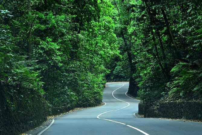 Eco-Tour (Konoko Falls & Fern Gully- From Ocho Rios - Inclusions and Exclusions