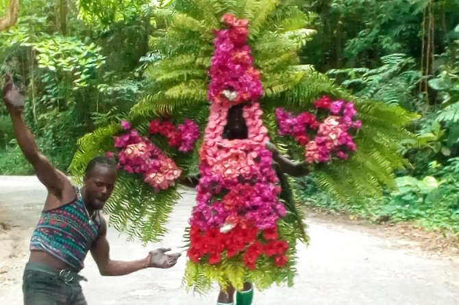 Eco-Tour (Konoko Falls & Fern Gully- From Ocho Rios - Health and Safety Considerations