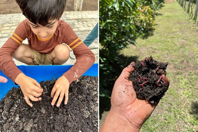 Eco Tour: Organic Coffee, Avocados, Honey & More! - Tour Details and Logistics