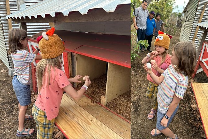 Eco Tour: Organic Coffee, Avocados, Honey & More! - Sustainable Farming Practices