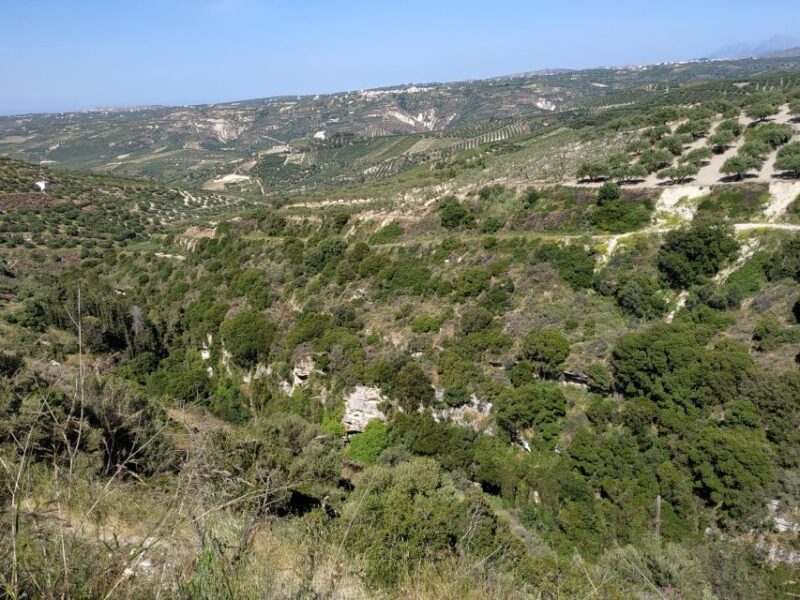 Ecobike: Food Tasting - Discover Cretan Cuisine & Villages - Guided E-bike Tour Experience