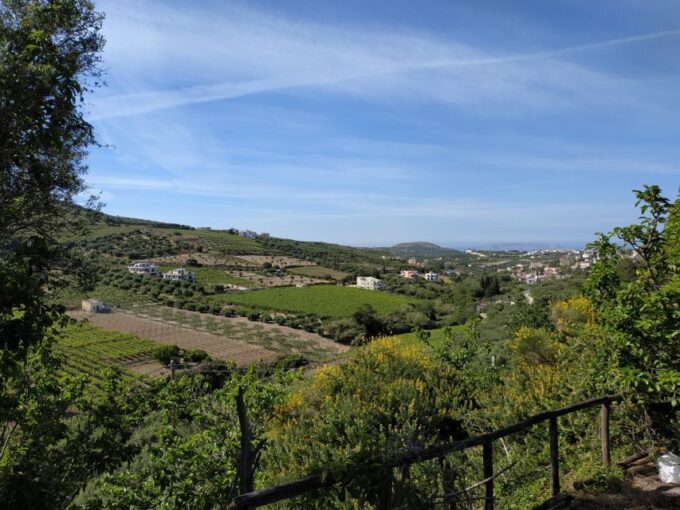Ecobike: Food Tasting - Discover Cretan Cuisine & Villages - Indulgent Cretan Feast at Taverna