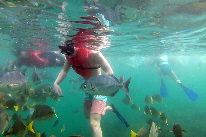 EcoCat Snorkel Catamaran Cruise in Cabo - Snorkeling Adventure