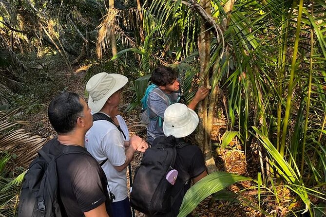 Ecohike Experience Through the Jungle, Mountains and Hidden Beach - Guided Hiking Expertise