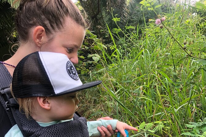 Ecohike Experience Through the Jungle, Mountains and Hidden Beach - Participant Feedback Highlights