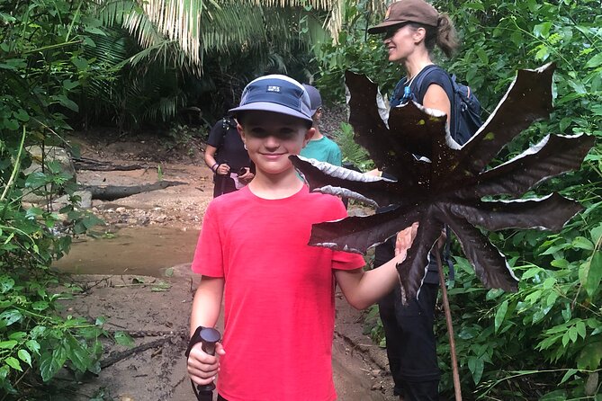 Ecohike Experience Through the Jungle, Mountains and Hidden Beach - Booking Flexibility and Guarantee