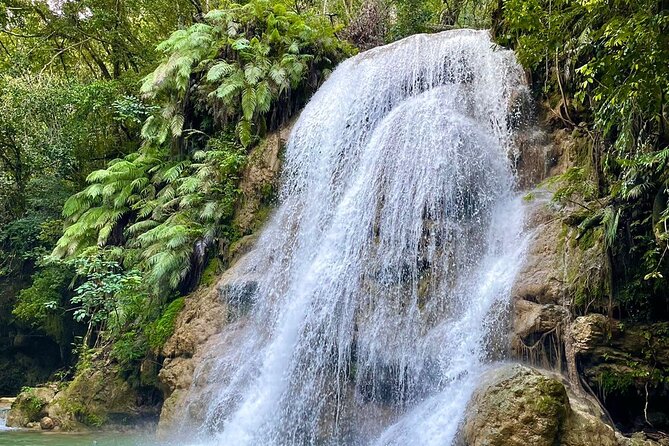 Ecolodge Overnight Experience El Limon Waterfalls, Samana, DR. - About Your Stay