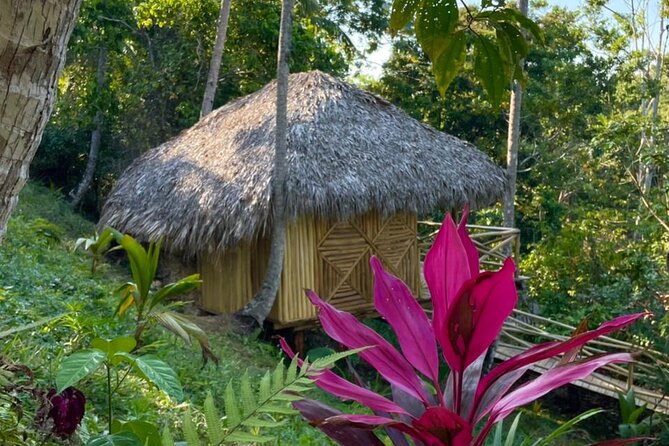 Ecolodge Overnight Experience El Limon Waterfalls, Samana, DR. - Relaxation and Leisure at the Ecolodge