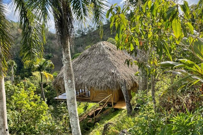 Ecolodge Overnight Experience El Limon Waterfalls, Samana, DR. - Delectable Local Cuisine and Dining