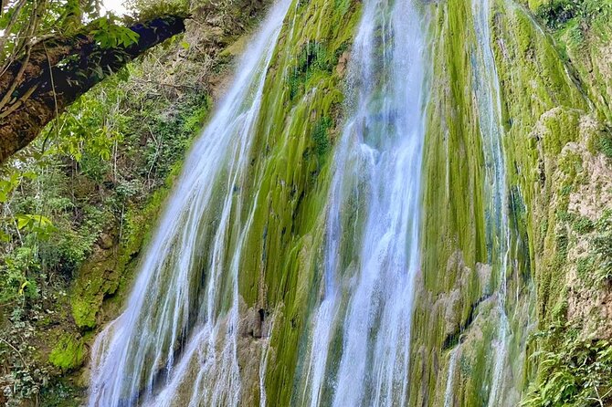 Ecolodge Overnight Experience El Limon Waterfalls, Samana, DR. - Planning Your Ecolodge Adventure