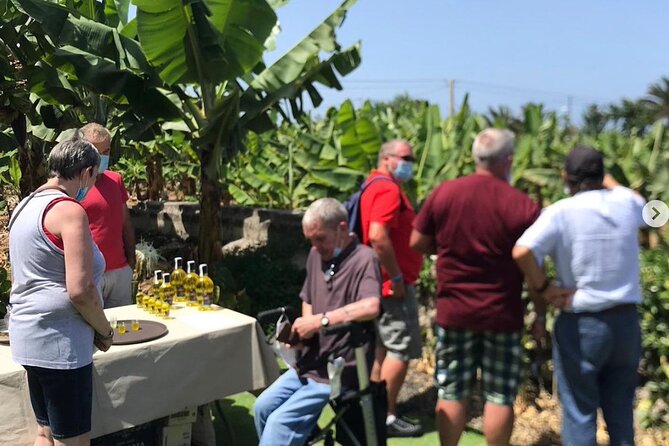 Ecological Banana Plantation Tour - Meeting and Pickup Logistics