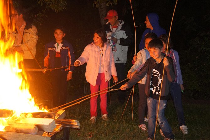 Ecological Camp - Key Points
