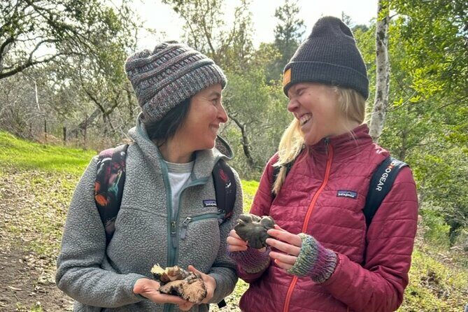 Ecological Mushroom Foraging Workshop - Why This Experience Works for Travelers