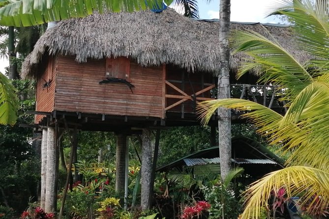 Ecological Park & Boat Ride on the River - Yasica River Boat Cruise