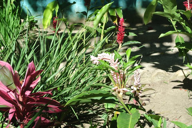 Ecological Park & Boat Ride on the River - Customer Feedback and Ratings