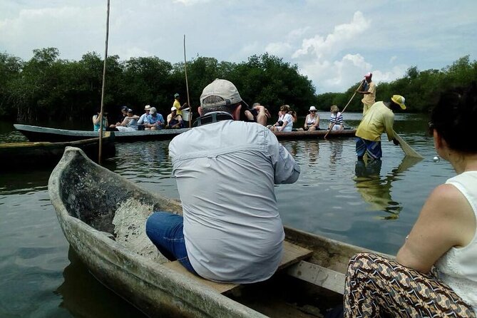Ecological Route by Lever Canoe With Artisanal Fishing Show - Key Points