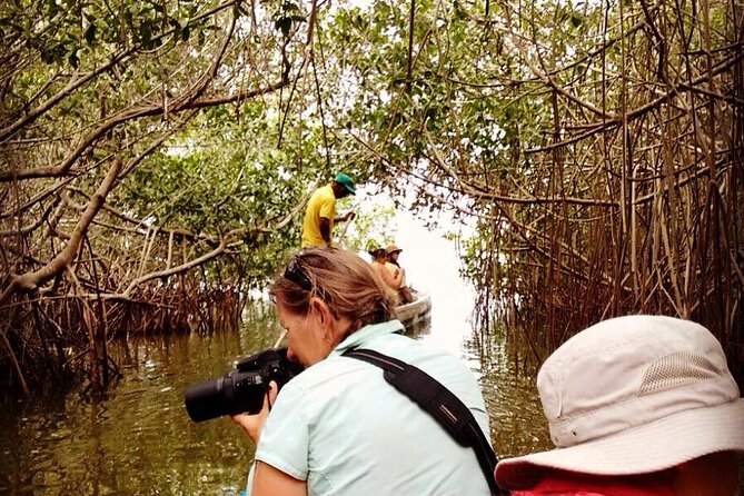 Ecological Route by Lever Canoe With Artisanal Fishing Show - Meeting and Pickup Details