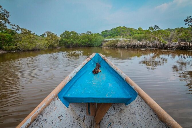 Ecological Route by Lever Canoe With Artisanal Fishing Show - Additional Stops and Experiences
