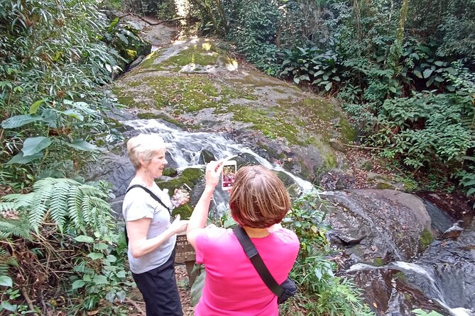 Ecological Walk in Sao Paulo - Physical Requirements