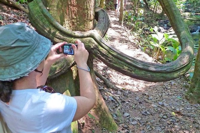 Ecological Walk in Sao Paulo - Tour Reviews