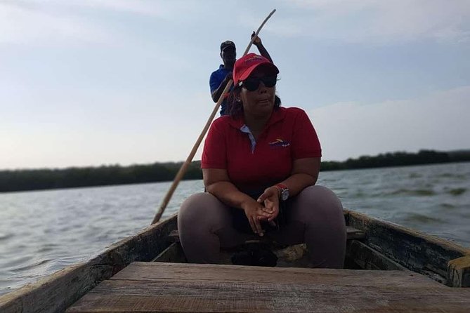 Ecoruta Volcano Del Totumo and Experience in the Mangroves - Discovering the Mangrove Ecosystem