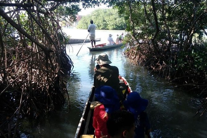 Ecoruta Volcano Del Totumo and Experience in the Mangroves - Convenient Meeting and Pickup Arrangements