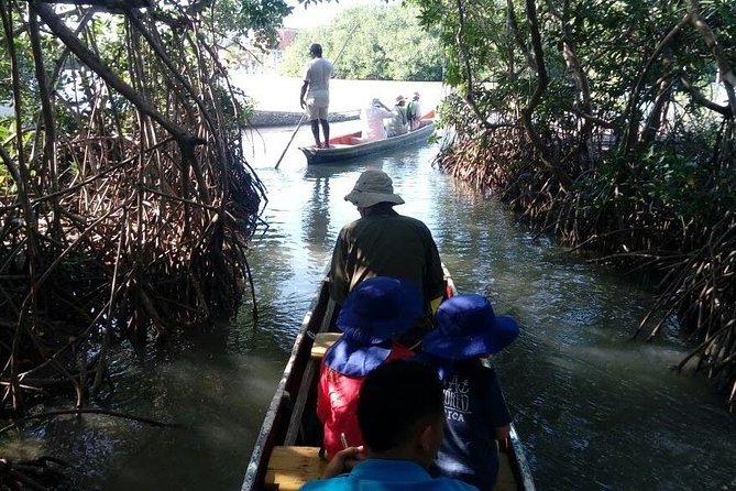 Ecoruta Volcano Del Totumo and Experience in the Mangroves - Accessibility and Age Considerations