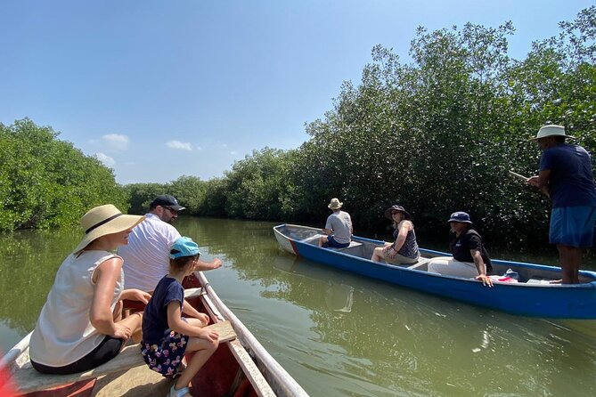Ecotour and Fishing in Natural Mangroves of Cartagena - Exploring the Mangrove Ecosystem