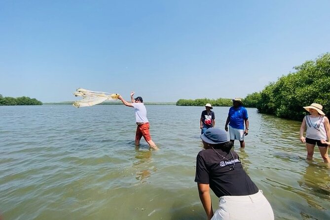 Ecotour and Fishing in Natural Mangroves of Cartagena - Key Points