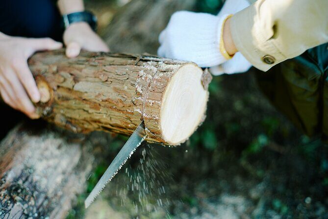 Ecotourism and Woodcraft with a Mountain Artist Near Tokyo - Exploring Nishikawa Timber and Forest Management