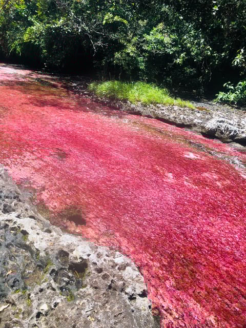 ECOTOURISM COLOMBIA: CAÑO CANOAS, MACARENA 4X4 2-DAYS TRIP - What to Bring