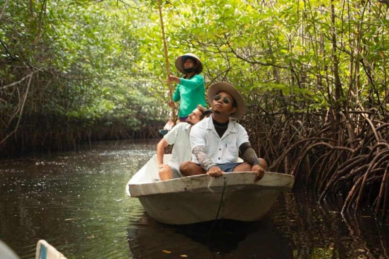 Ecotourism: Mangrove Reforestation & Tour - Inclusions