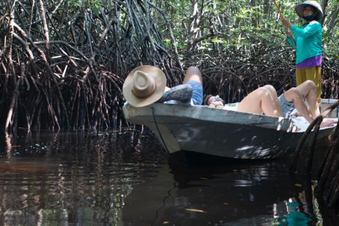 Ecotourism: Mangrove Reforestation & Tour - Mangrove Restoration Process
