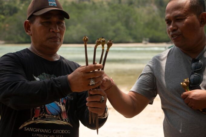 Ecotourism: Mangrove Reforestation & Tour - Frequently Asked Questions