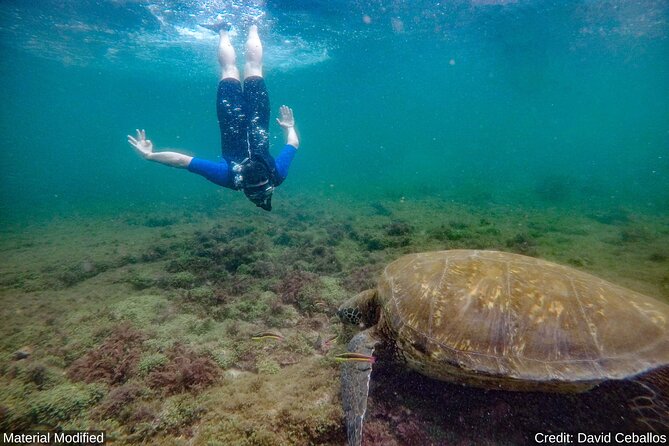 Ecuador & Galapagos: See It ALL in 12 Days, 1st Class Tours - Immerse in Ecuadorian Culture