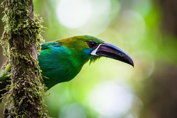 Ecuador Gateway 5 Days Tour - Accommodation and Meals