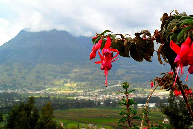 Ecuador Gateway 5 Days Tour - Admission Tickets