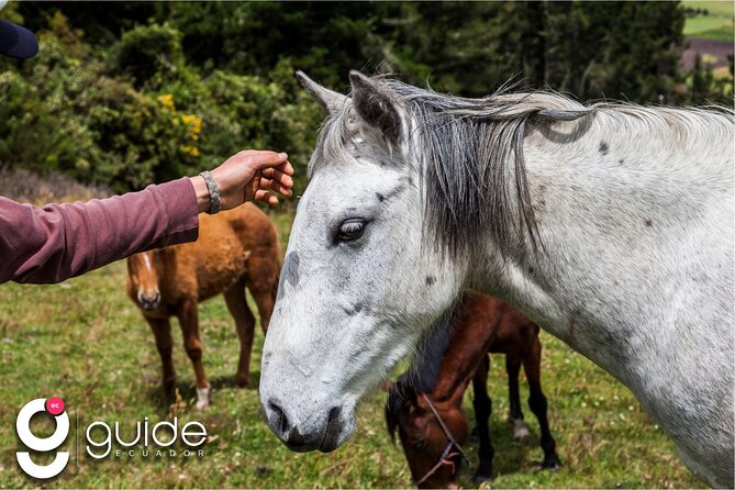 Ecuador Luxury Haciendas 8 Days Tour - Pickup and Meeting Details