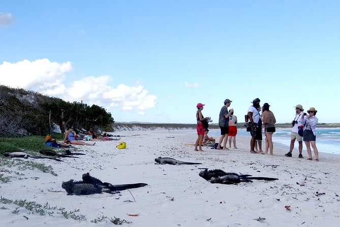 Ecuadorian Experience Quito - Galápagos 8 DAYS 7 NIGHTS - Exploring Santa Cruz Island