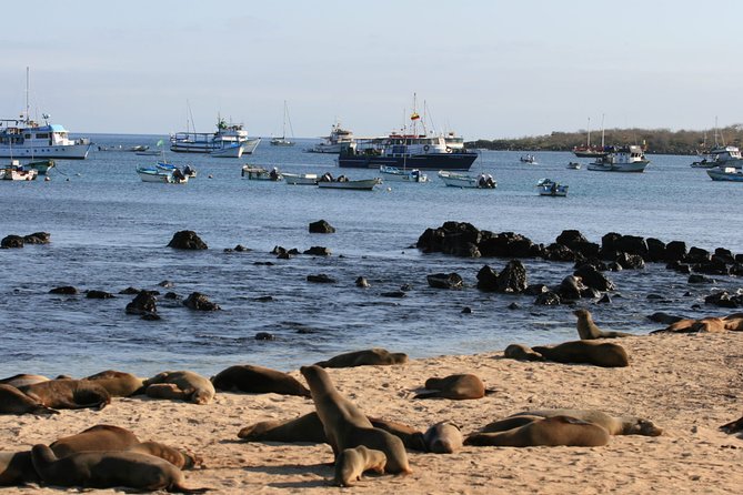 Ecuadorian Experience Quito - Galápagos 8 DAYS 7 NIGHTS - Hiking and Wildlife Viewing