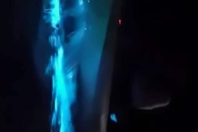 Eddys Bioluminescence Reserve in Punta Cuchillos - Tour Details and Inclusions