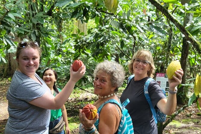 Eden Chocolate Tour With Lunch Included - Location and Duration