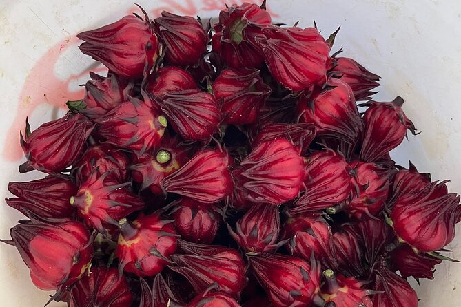Edible Hibiscus Guided Farm Tour (Big Island) - Tour Duration and Schedule