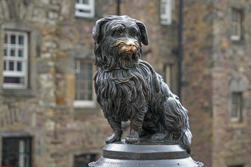 Edinbourgh, Royal Mile: Walking Tour With Audio Guide - Preparation and Requirements