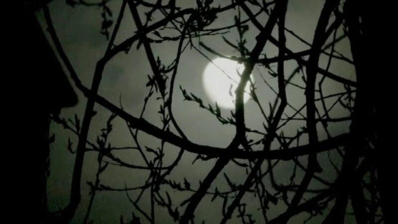 Edinburgh: 2-Hour Nighttime Ghost Tour - What to Bring