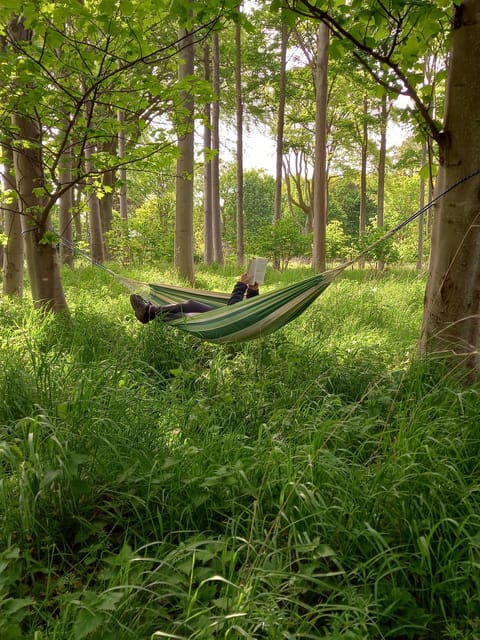 Edinburgh: Guided Forest Bathing, Meditation, and Breathwork - Cancellation Policy