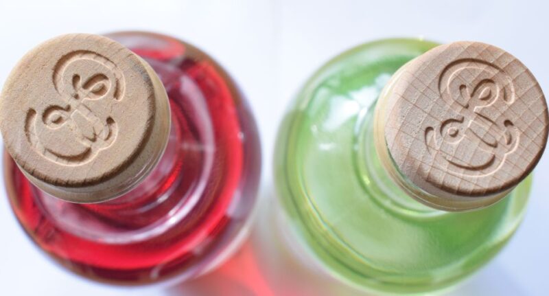 Edinburgh: Guided Gin Tasting at 56 North Distillery - Award-winning South Loch Gins