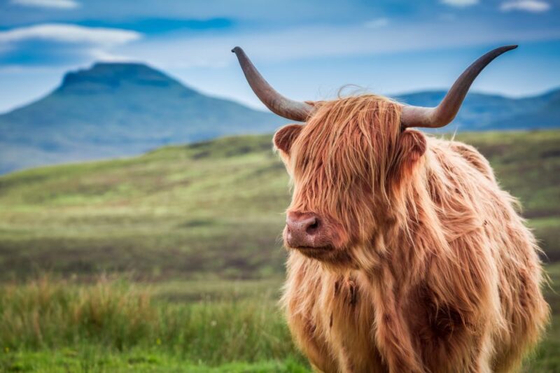 Edinburgh: Loch Ness, Inverness & Highlands Tour in Spanish - Inverness Exploration
