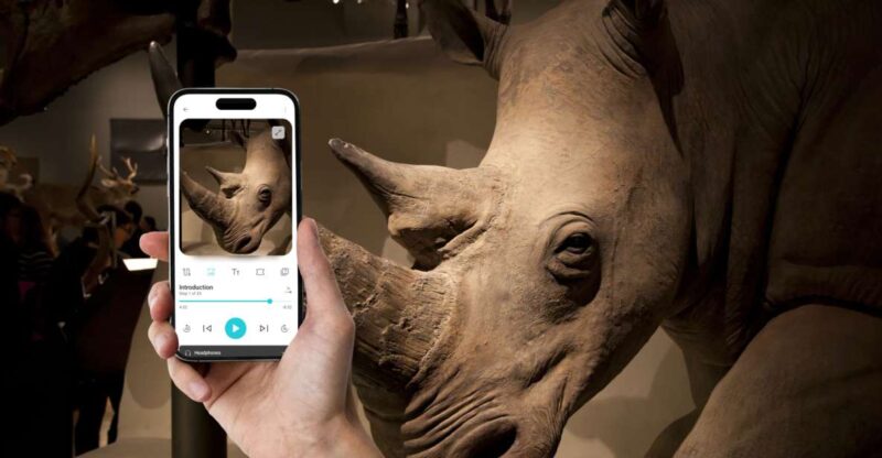 Edinburgh: National Museum of Scotland Phone Audio Tour (EN) - Museum Highlights