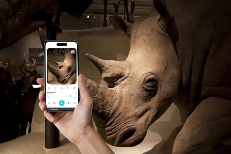 Edinburgh: National Museum of Scotland Phone Audio Tour (EN) - Museum Exhibits